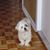 Martine Mcneil's profile image
