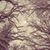 Lindsey Knispel Brown's profile image