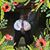 Donna P Brewster's profile image