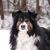 Ter Sterk's profile image