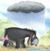 Vince Wingate's profile image