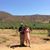 Maryann Masi Bigelow's profile image