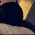 Brittney Watson's profile image