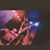 Brown Recluse's profile image