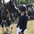 Shaelyn Marie Kelliher's profile image