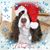 Lyn Thornburgh Sorensen's profile image