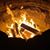 Jonathan Friedrich's profile image