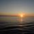 Patricia Andrews Meigs's profile image