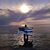 Diane Polaski's profile image