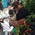 Ruth V Sigler's profile image