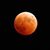 Alexander Farro's profile image