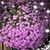 JoAnn Harley's profile image