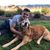 Ben Draheim's profile image
