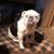 Machelle Knepp Bailey's profile image