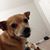 Sandra Cervantes's profile image