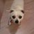 Susan Donofrio Barreira's profile image