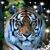 Diana Smith's profile image