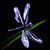 Kaye Sondergard Risser's profile image