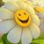 Dawn Haynes's profile image