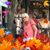 Andrea Jadick Majka's profile image