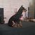 Steven Reeves's profile image