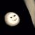 Nick Easter's profile image