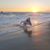 Julie Lynn Rasmussen's profile image