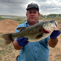 Kenny Kummer's profile image