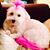 Robin Farrow's profile image
