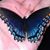 Jacquie Hulsey's profile image