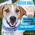 Tracy Shattuck Foohey's profile image