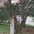 Jackie Rhein Dolansky's profile image