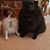 Beth Ann Roscher's profile image