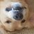 Diane Bratt's profile image