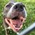 Donna Marshburn Wheeler's profile image