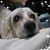Bryna Blosch's profile image