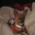 Delilah Sue Freeman Otts's profile image