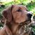 Dan Calloway's profile image