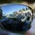 Rene Wirtz's profile image