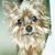 Rachel St Laurent Navarro's profile image