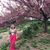 Dorota Bojda's profile image