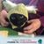 Barbara A Henes's profile image