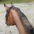 Shauna Renier's profile image