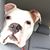 Michelle Sheehan's profile image