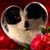 Angela McGrath's profile image