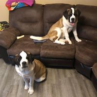 Charles Glick's profile image