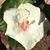 Jo Lynn Eubanks's profile image