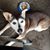 Vicki Oster's profile image