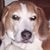 Susan Hachmeister's profile image