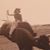 Wendy Flickinger-Smith's profile image